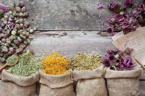 گیاهان دارویی مفید برای اعصاب