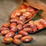آشنايي با خواص و مضرات سنجد