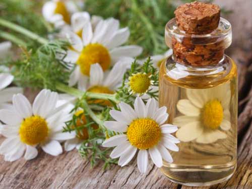 فواید روغن بابونه