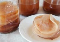 همه چیز درباره قارچ کامبوجا
