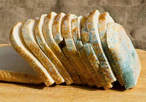 پیشگیری از کپک زدن موادغذایی پیشگیری از کپک زدن موادغذایی