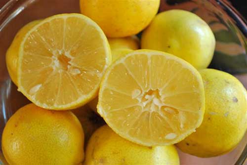 چرا لیمو شیرین تلخ می‌شود؟