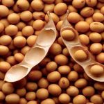 چگونه‌ سویا را خوش‌ طعم‌ كنیم‌؟