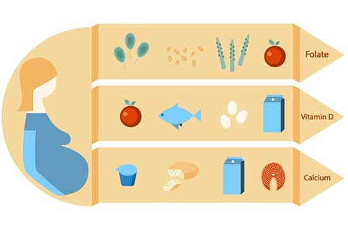 میزان آهن، کلسیم و پروتئین برای زنان باردار میزان آهن، کلسیم و پروتئین برای زنان باردار