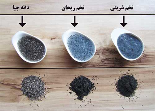 همه چیز درباره دانه‌هایی شفابخش