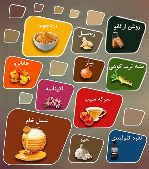 از قوی‌ترین آنتی بیوتیک‌های طبیعی