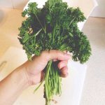 معجزه جعفری برای پاکسازی کلیه‌ها