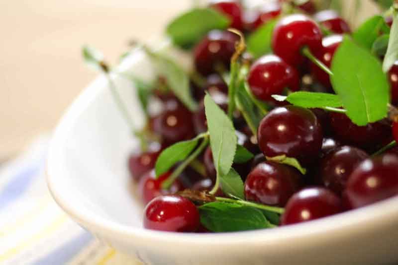 خواص آلبالو