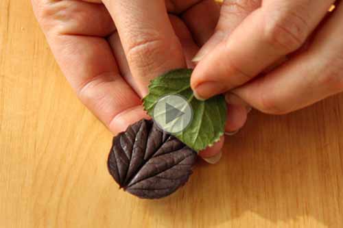 چگونه برگ شکلاتی برای تزیین دسر درست کنیم؟